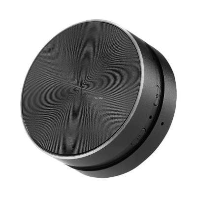Magnetic Speaker